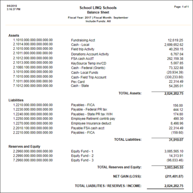 sample balance sheet report